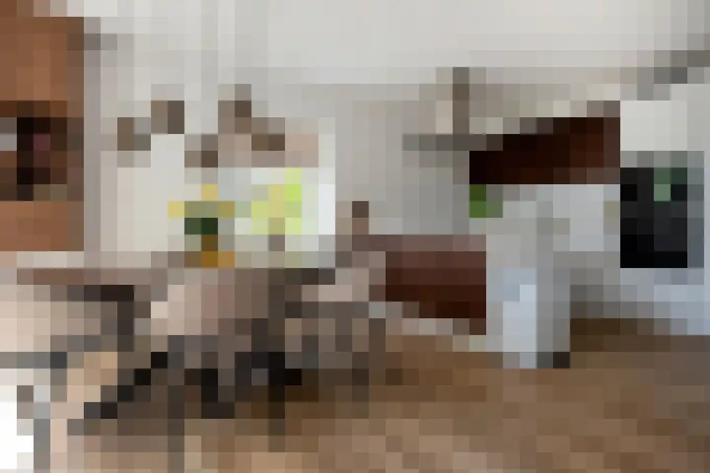 Duindoornstraat 81 Groningen thumbnail 15