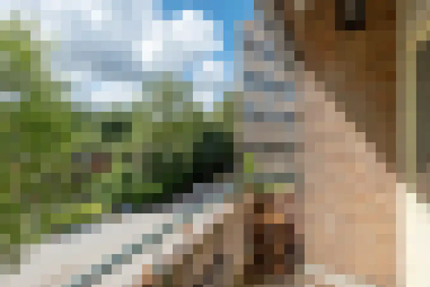Duindoornstraat 81 Groningen thumbnail 28
