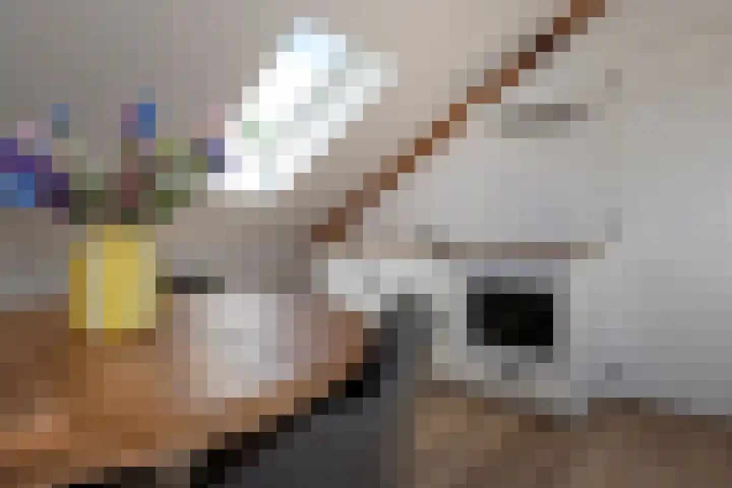 Duindoornstraat 81 Groningen thumbnail 40