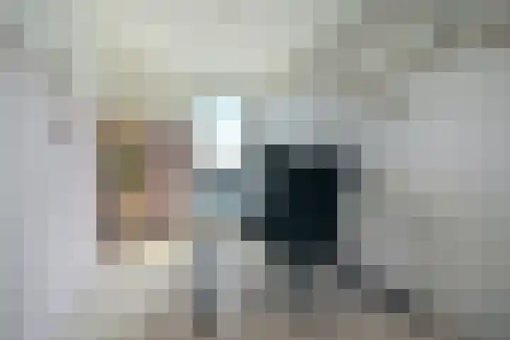 Duindoornstraat 97 A Breda thumbnail 37
