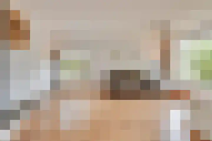 Duindoornweg 2 Schoorl thumbnail 10