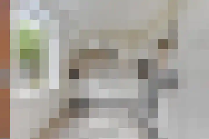 Duindoornweg 2 Schoorl thumbnail 16