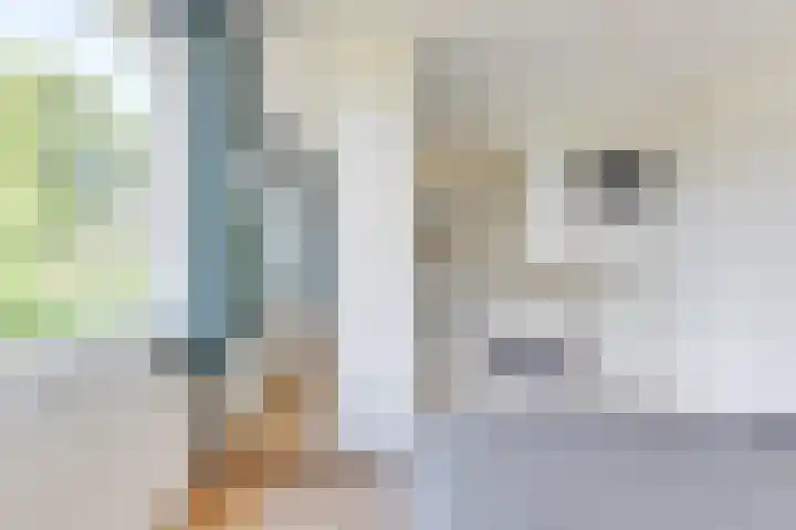 Duindoornweg 2 Schoorl thumbnail 21