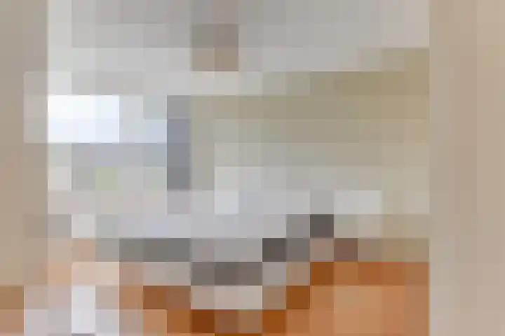 Duindoornweg 2 Schoorl thumbnail 26