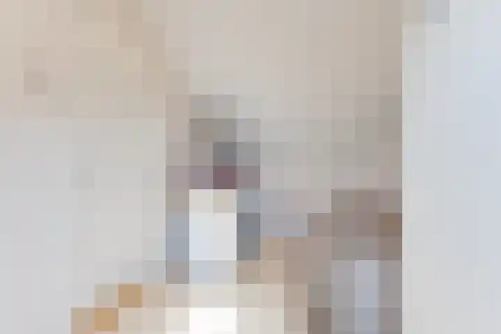 Duindoornweg 2 Schoorl thumbnail 34