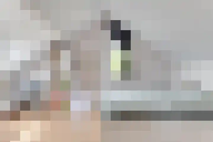 Duindoornweg 2 Schoorl thumbnail 35