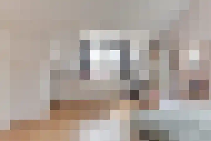 Duindoornweg 2 Schoorl thumbnail 36