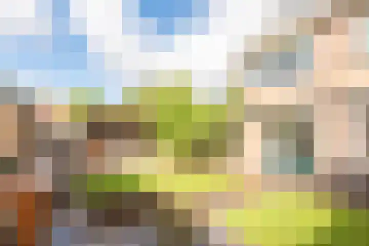 Duindoornweg 2 Schoorl thumbnail 39