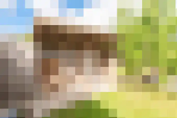 Duindoornweg 2 Schoorl thumbnail 41