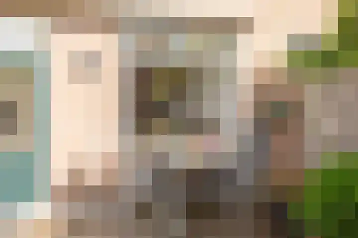 Duindoornweg 2 Schoorl thumbnail 42