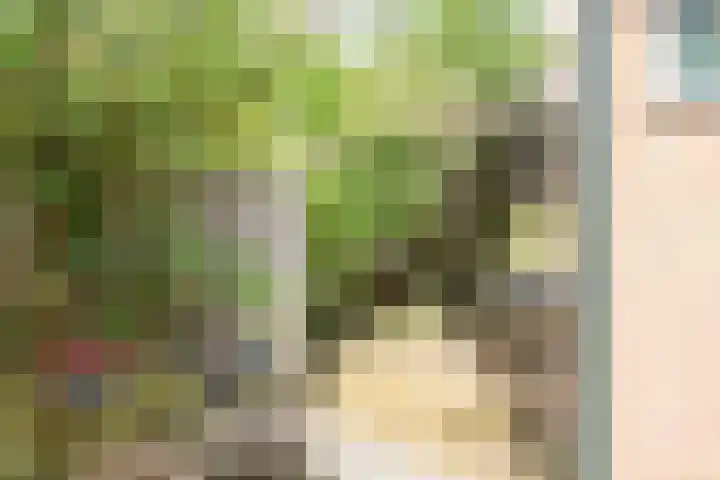 Duindoornweg 2 Schoorl thumbnail 43