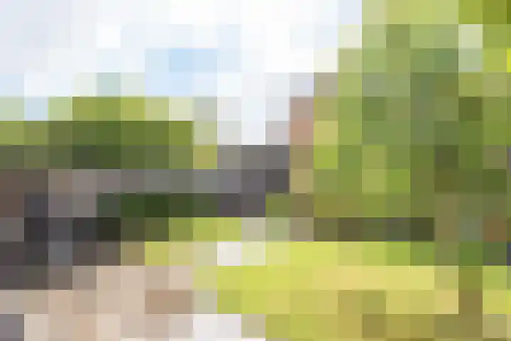 Duindoornweg 2 Schoorl thumbnail 44