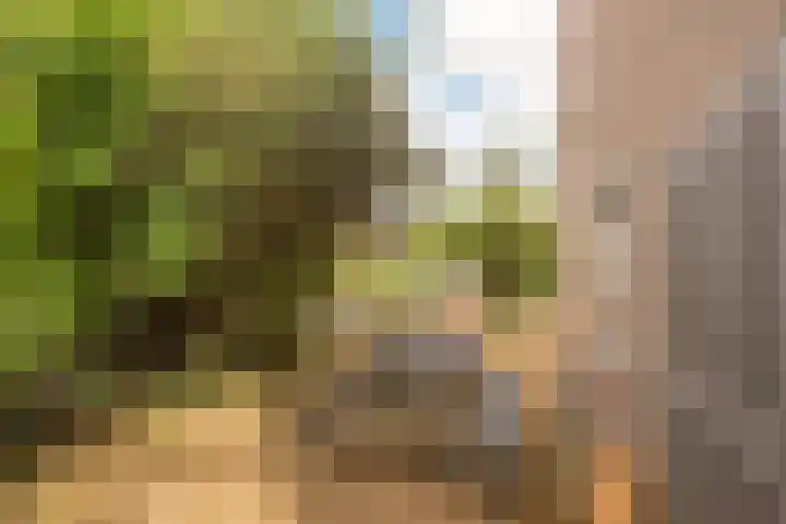 Duindoornweg 2 Schoorl thumbnail 45