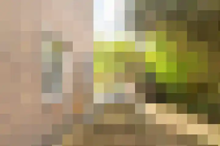 Duindoornweg 2 Schoorl thumbnail 46