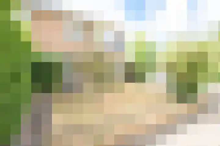 Duindoornweg 2 Schoorl thumbnail 47