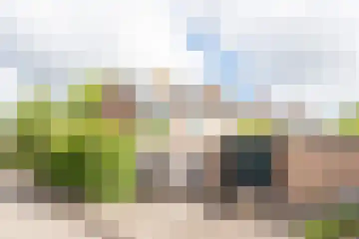 Duindoornweg 2 Schoorl thumbnail 48