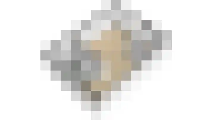 Duindoornweg 2 Schoorl thumbnail 50
