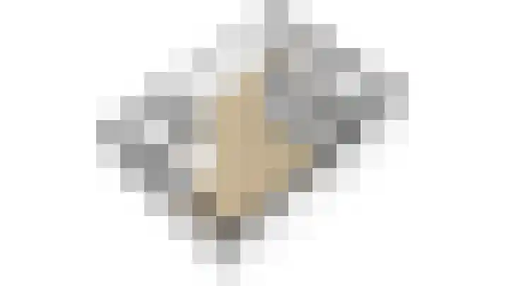 Duindoornweg 2 Schoorl thumbnail 51