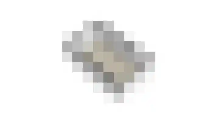 Duindoornweg 2 Schoorl thumbnail 59