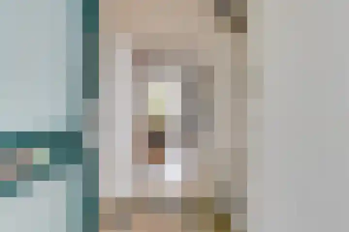 Duindoornweg 2 Schoorl thumbnail 6