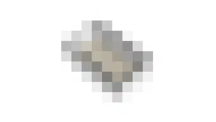 Duindoornweg 2 Schoorl thumbnail 60