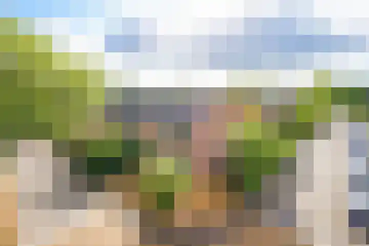 Duindoornweg 2 Schoorl thumbnail 61