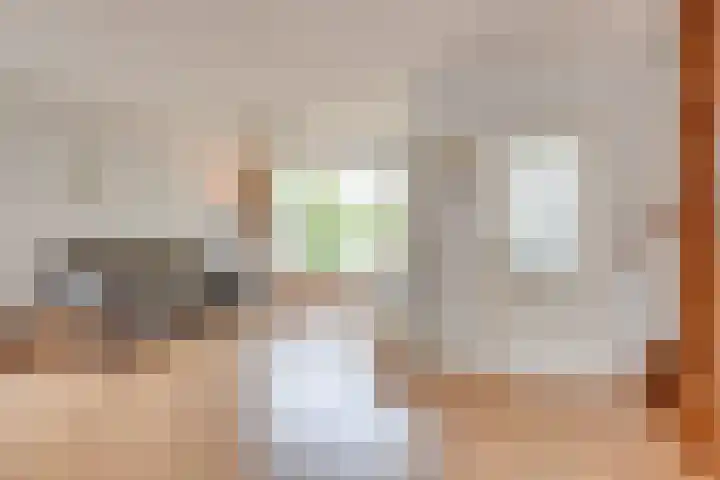 Duindoornweg 2 Schoorl thumbnail 8