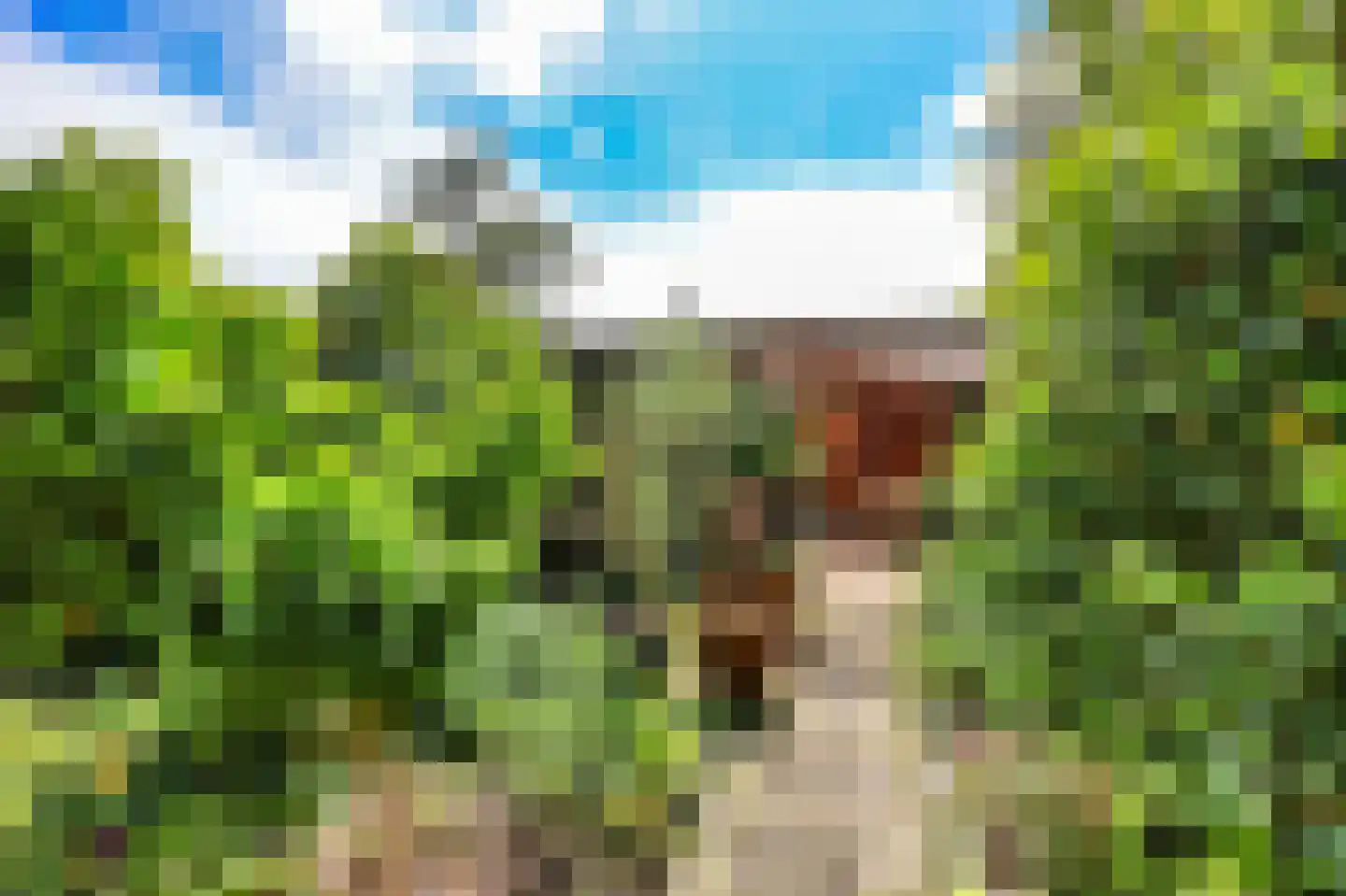 Duindoornweg 6 Schoorl thumbnail 16