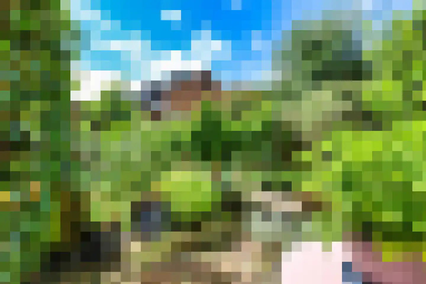 Duindoornweg 6 Schoorl thumbnail 21