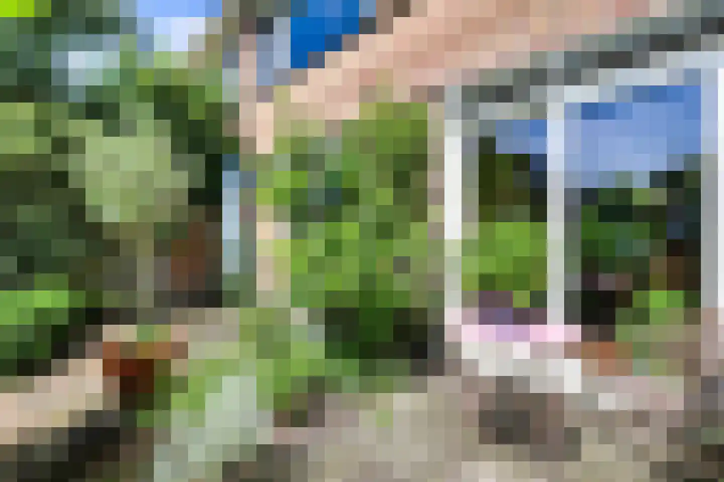 Duindoornweg 6 Schoorl thumbnail 22
