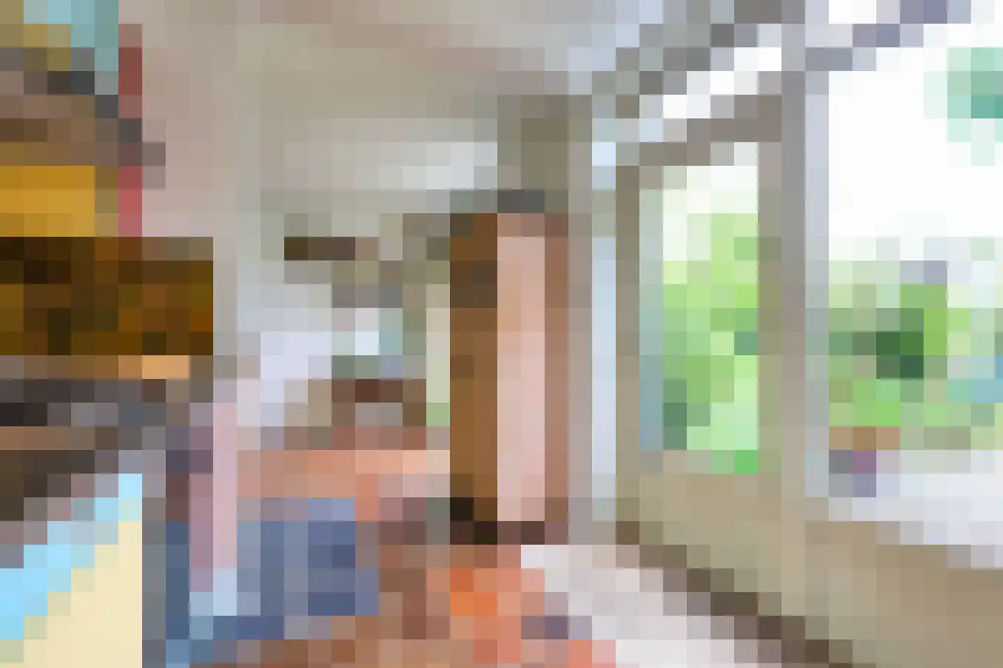 Duindoornweg 6 Schoorl thumbnail 23