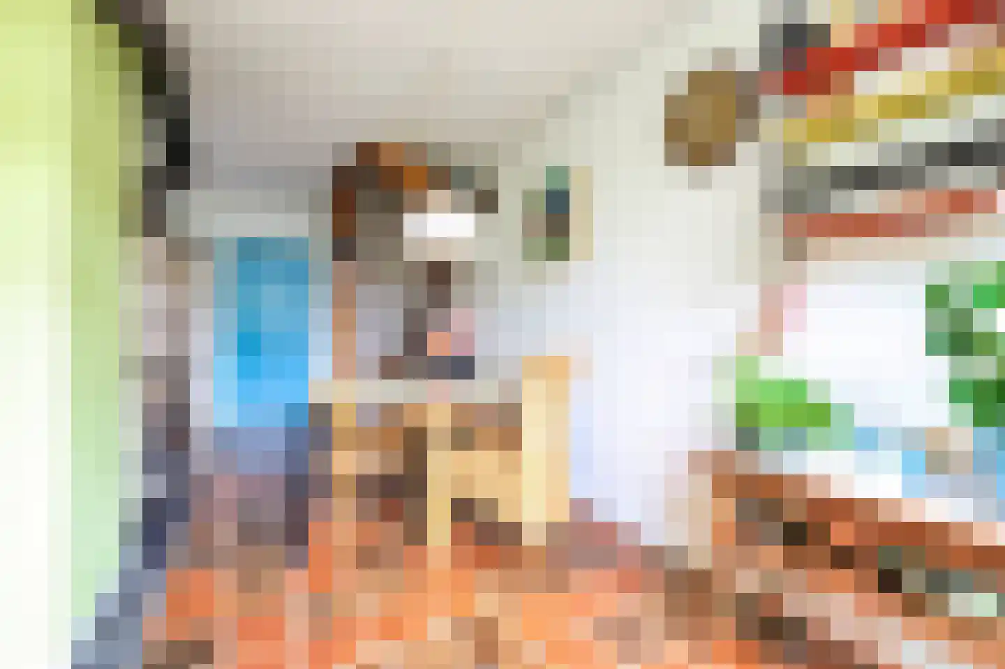 Duindoornweg 6 Schoorl thumbnail 24