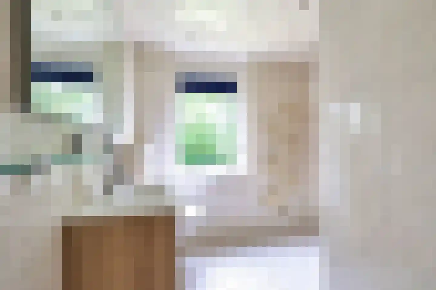 Duindoornweg 6 Schoorl thumbnail 27
