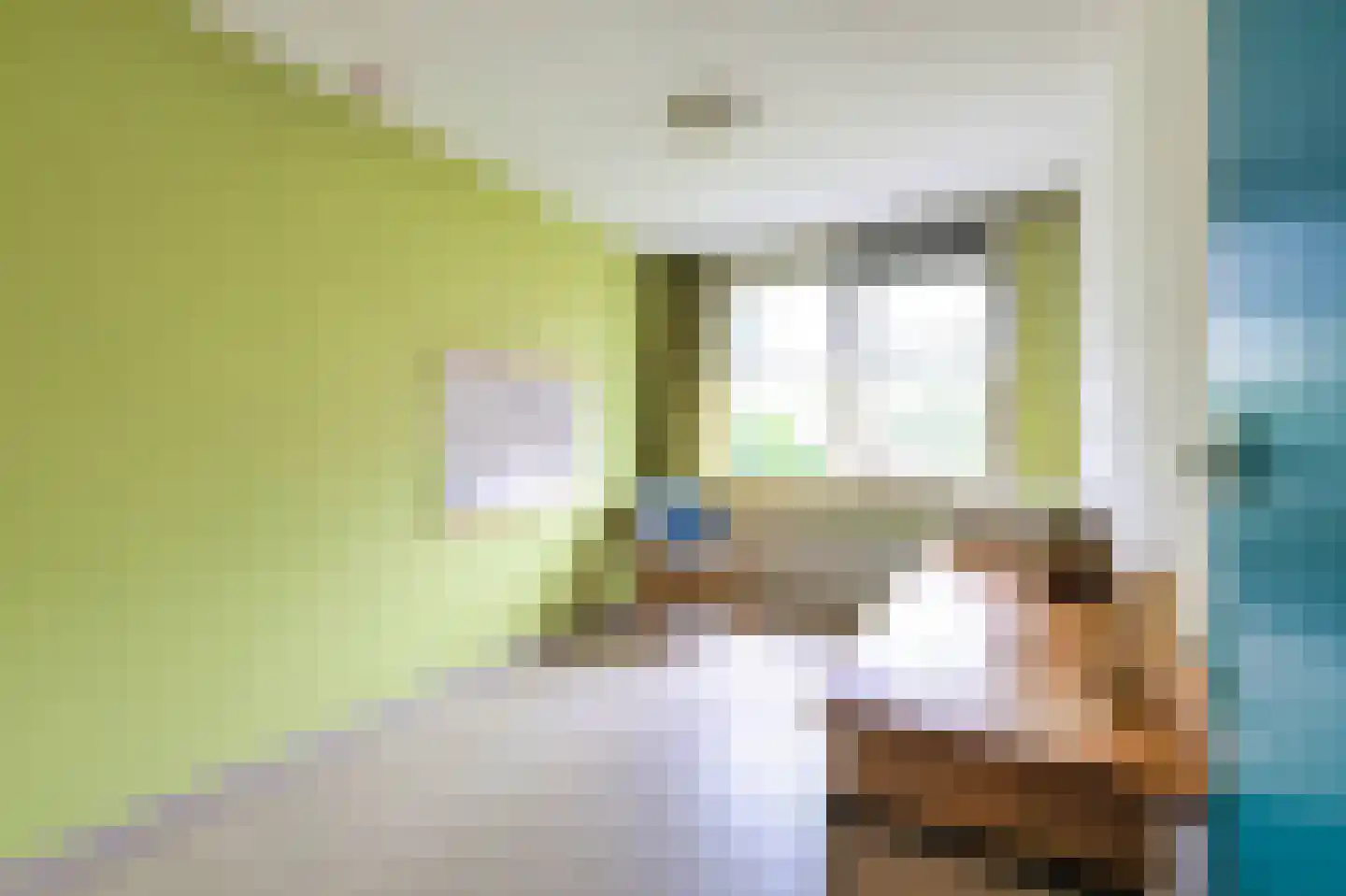 Duindoornweg 6 Schoorl thumbnail 31
