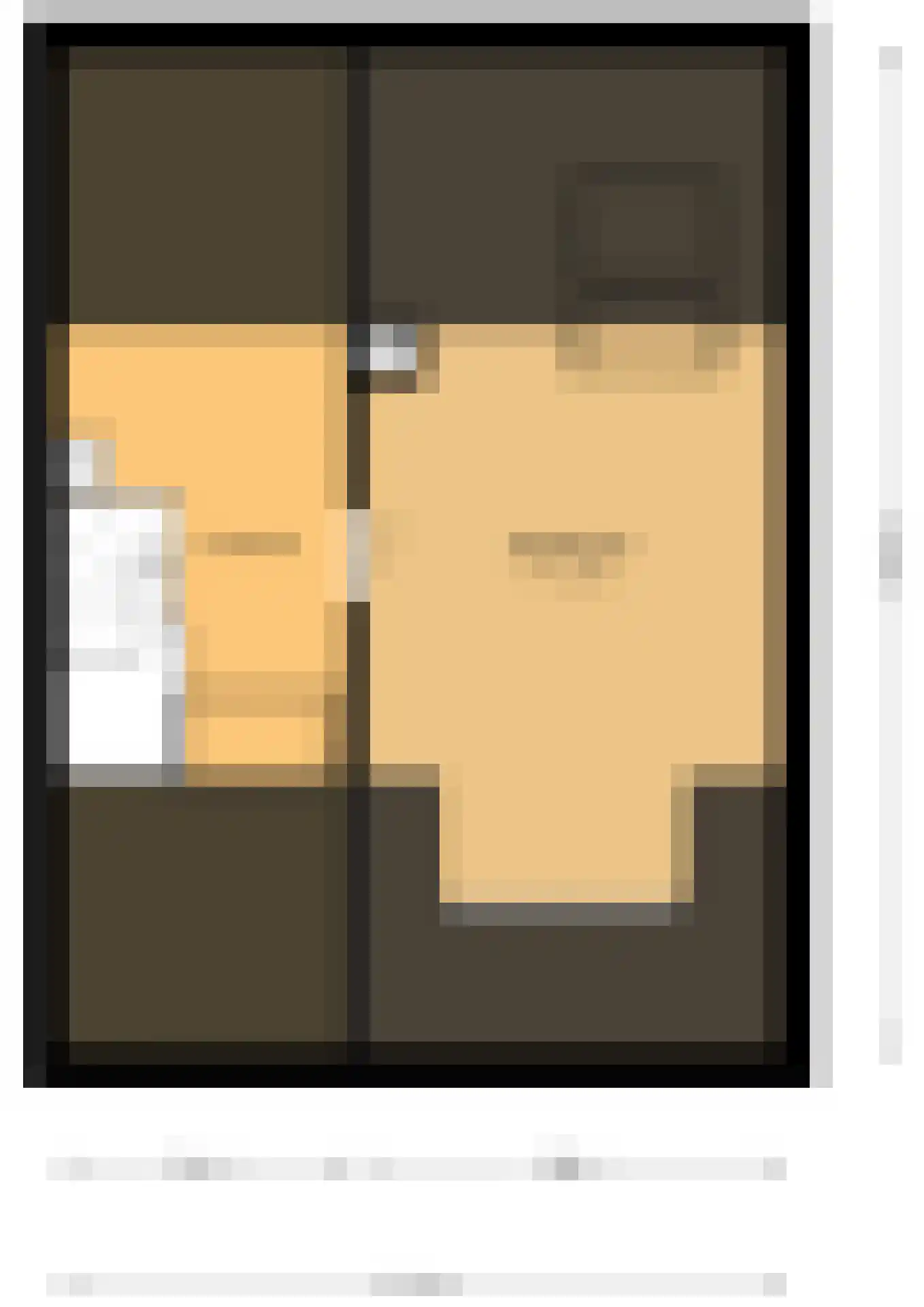 Duindoornweg 6 Schoorl thumbnail 41