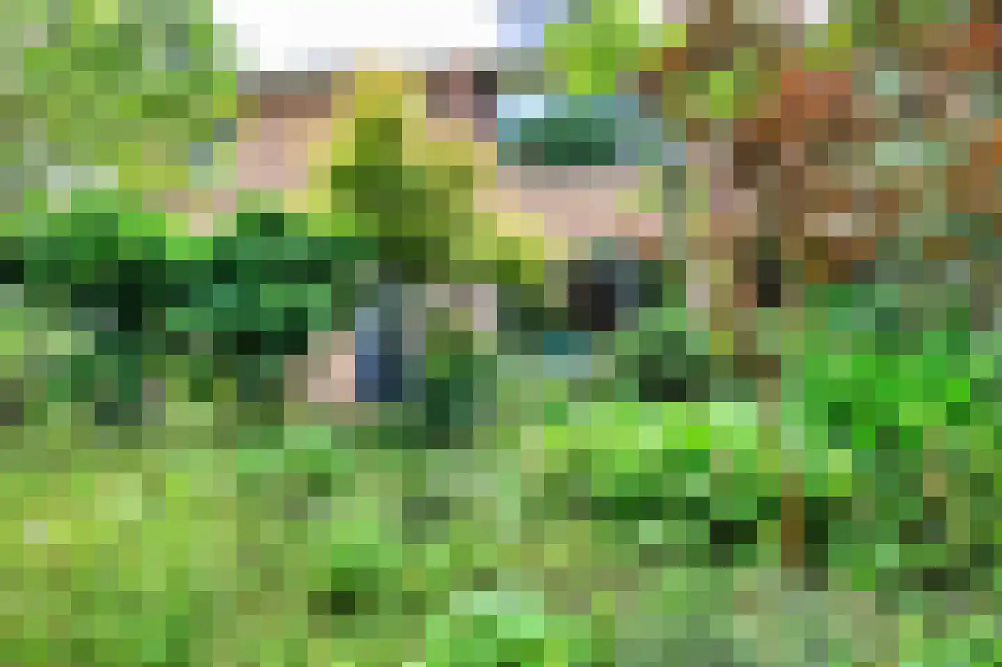 Duindoornweg 6 Schoorl thumbnail 5