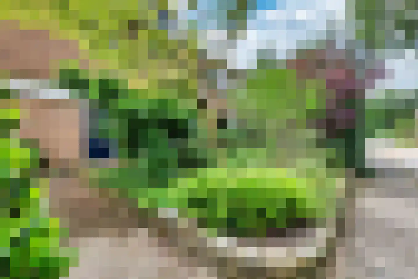 Duindoornweg 6 Schoorl thumbnail 6