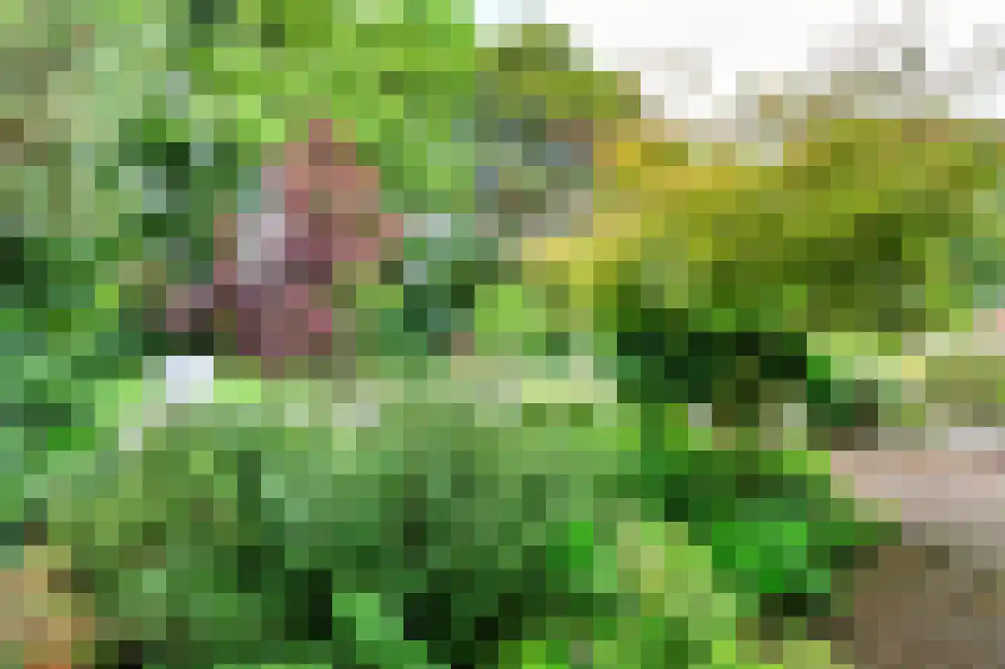 Duindoornweg 6 Schoorl thumbnail 7