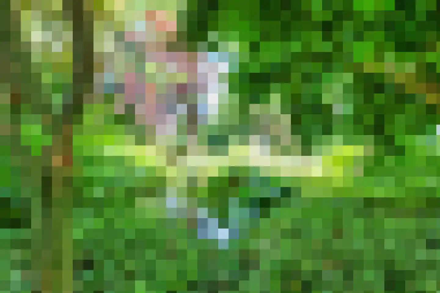 Duindoornweg 6 Schoorl thumbnail 8