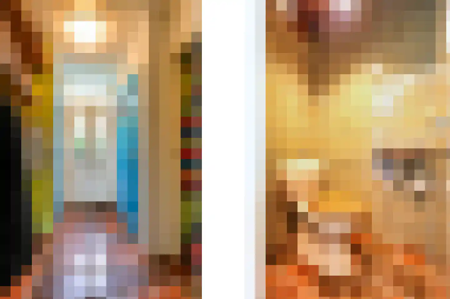 Duindoornweg 6 Schoorl thumbnail 9