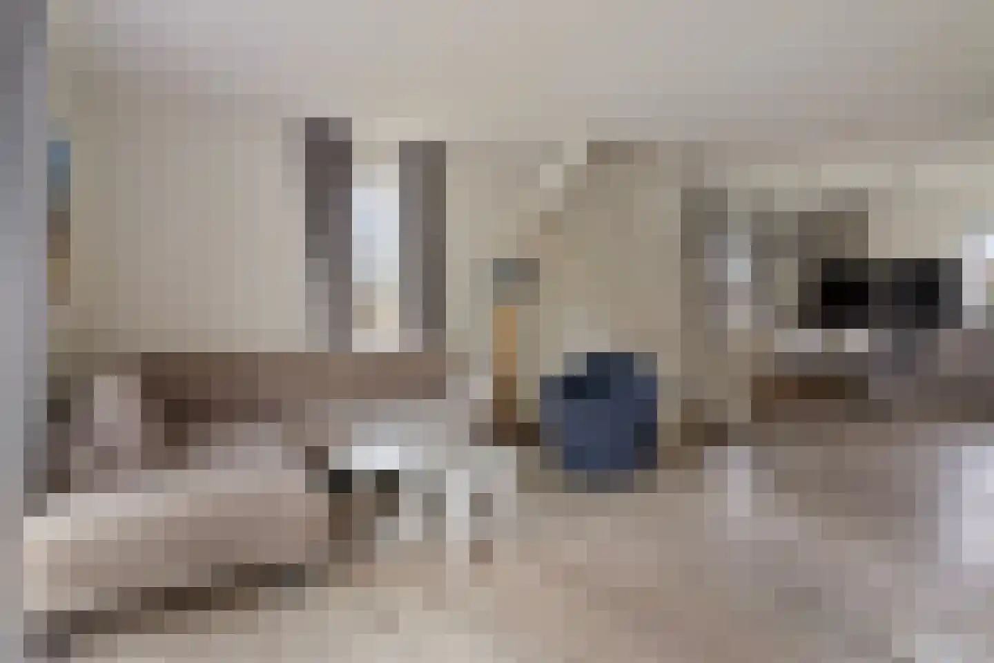 Duinen 10 Kamperland thumbnail 5