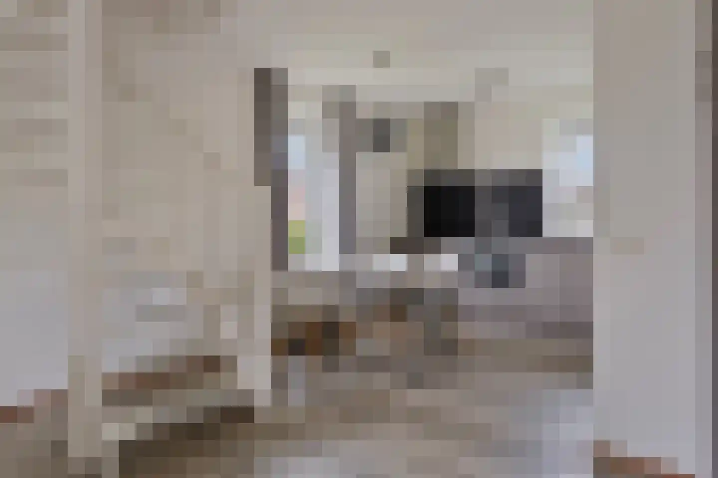 Duinen 10 Kamperland thumbnail 7