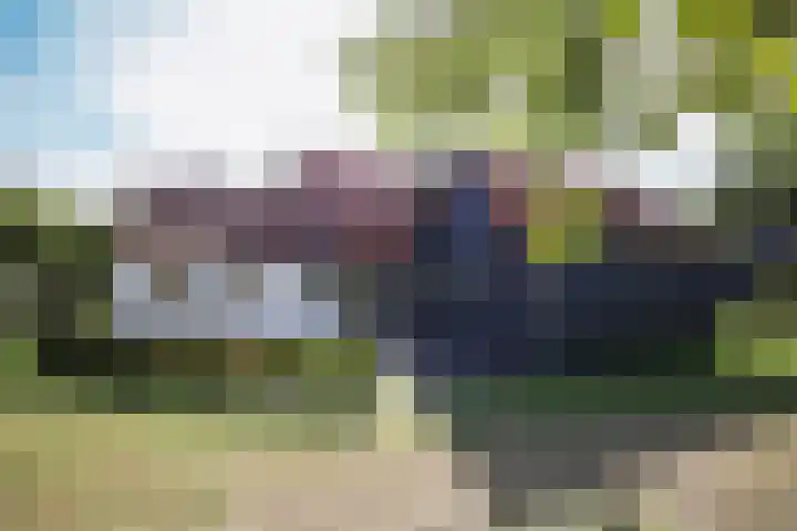 Duinen 4 Oostvoorne thumbnail 19