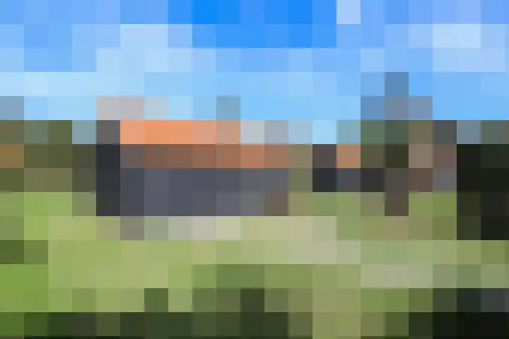 Duinen 4 Oostvoorne foto 2