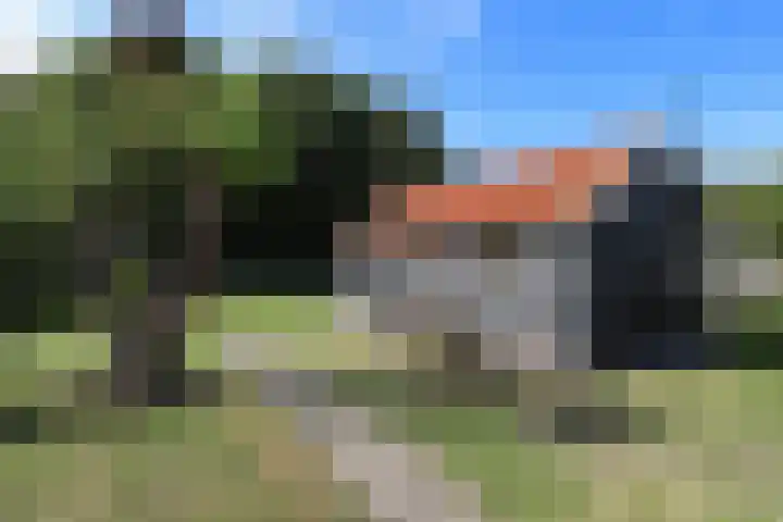 Duinen 4 Oostvoorne thumbnail 21