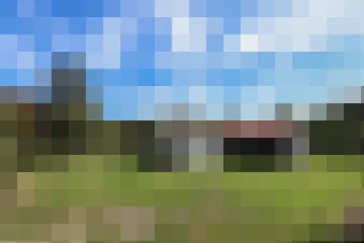 Duinen 4 Oostvoorne thumbnail 23