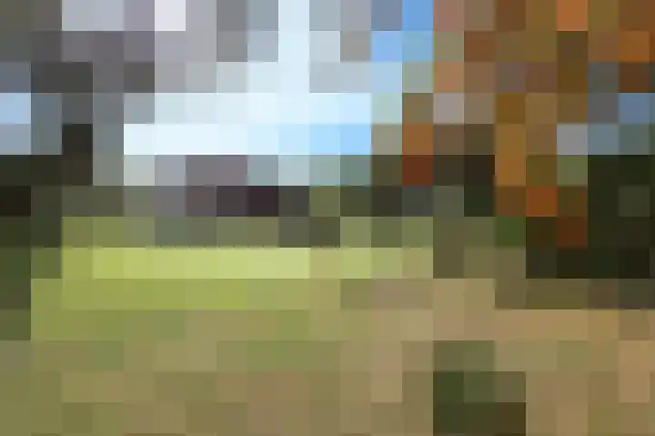 Duinen 4 Oostvoorne thumbnail 25
