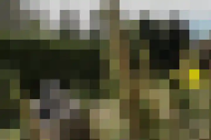 Duinen 4 Oostvoorne thumbnail 26
