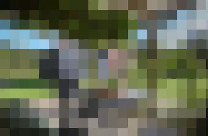Duinen 4 Oostvoorne thumbnail 27