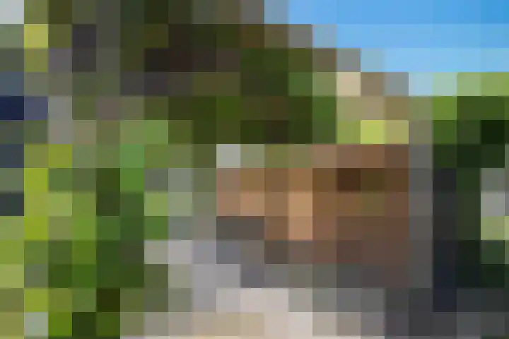 Duinen 4 Oostvoorne thumbnail 28